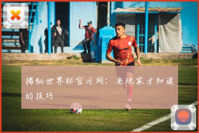 揭秘世界杯官方网：老玩家才知道的技巧