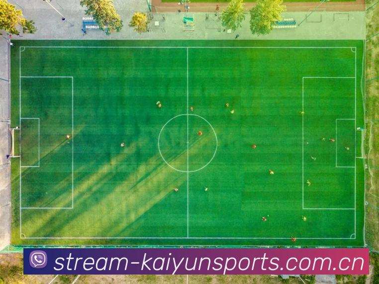 开云Kaiyun Logo